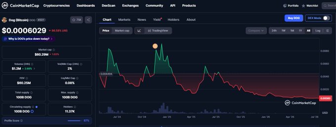CoinMarketCap page for Dog (Bitcoincoin/DOG) priced at $0.0006029 with a 3.46% 24h decline and a 96.52% downtrend.