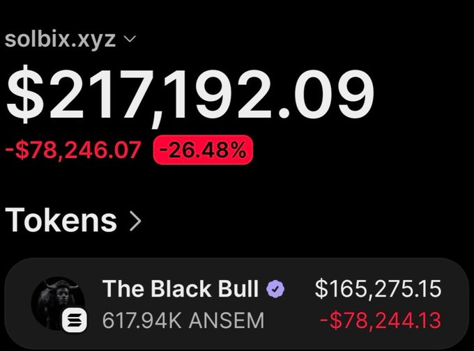 A screenshot of the solbix.xyz wallet tracker showing a portfolio value of $217,192.09 (down 26.48% or -$78,246.07), with the largest holding being "The Black Bull" at 617.94K ANSEM tokens valued at $165,275.15 (down $78,244.13), which corresponds to the post highlighting a profitable $Ansem trade that turned $27,900 into over $259,000 in profit.
