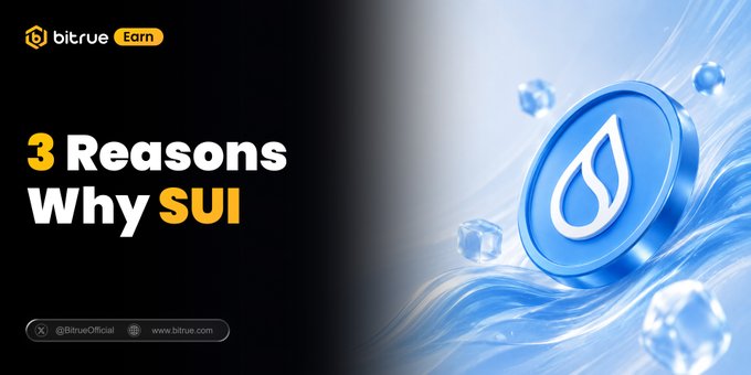 The image features a blue coin with a white drop symbol on it, surrounded by water droplets. The text "3 Reasons Why Sui" is written above the coin, and below it, there are three reasons why Sui is a good idea.