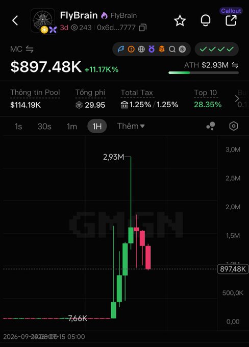 Cryptocurrency trading chart screenshot showing the "FlyBrain" token (contract 0x6d...7777) displaying a market cap of $897.48K (+11.17%) with ATH of $2.93M, featuring candlestick price action and metrics including Pool $114.19K, Total Tax 1.25%, and Top 10 holders at 28.35%, branded with "GMGN" watermark.