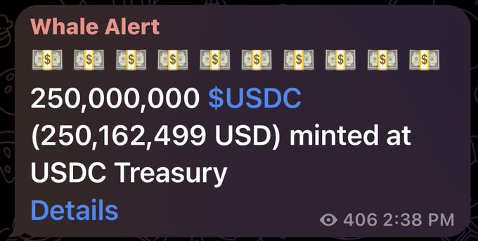 A "Whale Alert" notification showing that 250,000,000 $USDC (250,162,499 USD) was minted at the USDC Treasury, supporting the post's announcement of $250 million in new liquidity issued on Solana. The alert emphasizes the large-scale stablecoin minting event with money icons highlighting the substantial amount of USDC added to circulation.