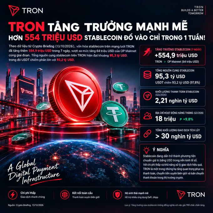 A Vietnamese-language promotional infographic for TRON cryptocurrency, highlighting that over 554 million USD in stablecoins flowed onto the network in one week, with key stats like a 95.3 billion USD stablecoin supply.