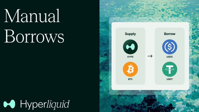 A promotional graphic for Hyperliquid's 'Manual Borrows' feature, illustrating a supply/borrow workflow with HYPE and BTC on the left flowing into USDC and USDT on the right.