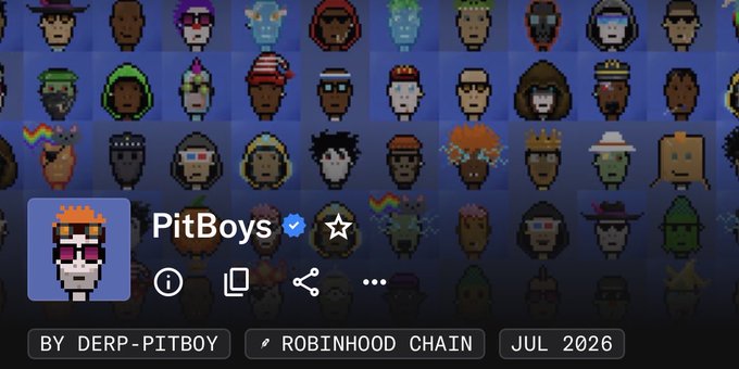 An NFT profile page for 'PitBoys' on what appears to be OpenSea, showing a pixel art character profile picture, tags 'BY DERP-PITBOY' and 'ROBINHOOD CHAIN', dated JUL 2026, with a background grid of various pixel art characters.