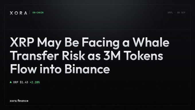 An article header from Xora Finance titled "XRP May Be Facing a Whale Transfer Risk as 3M Tokens Flow into Binance," showing XRP at $1.43 with a +2.28% change.
