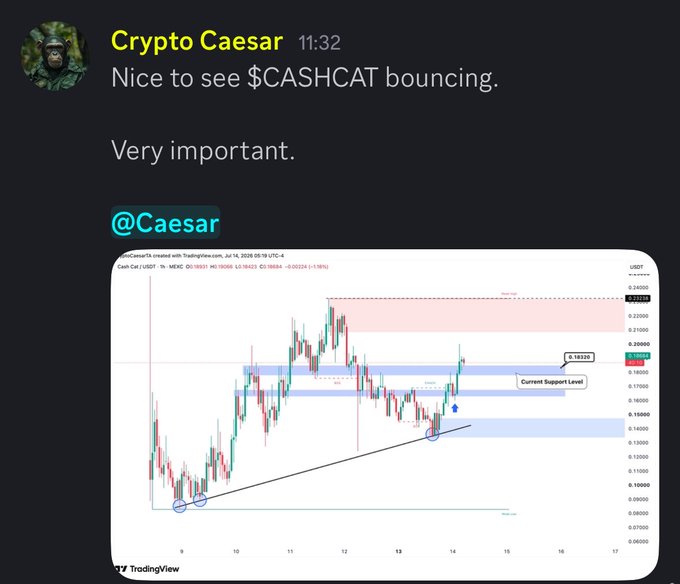 Crypto Caesar highlights $CASHCAT bouncing at a current support level of 0.18325 on a TradingView chart, suggesting significance for the Robinhood meta.
