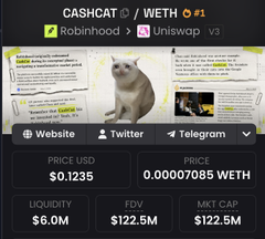 A crypto token page for CASHCAT showing CASH/WETH #1 on Robinhood and Uniswap v3, with price $0.1235, liquidity $6.0M, FDV $122.5M, and an image of a cat.