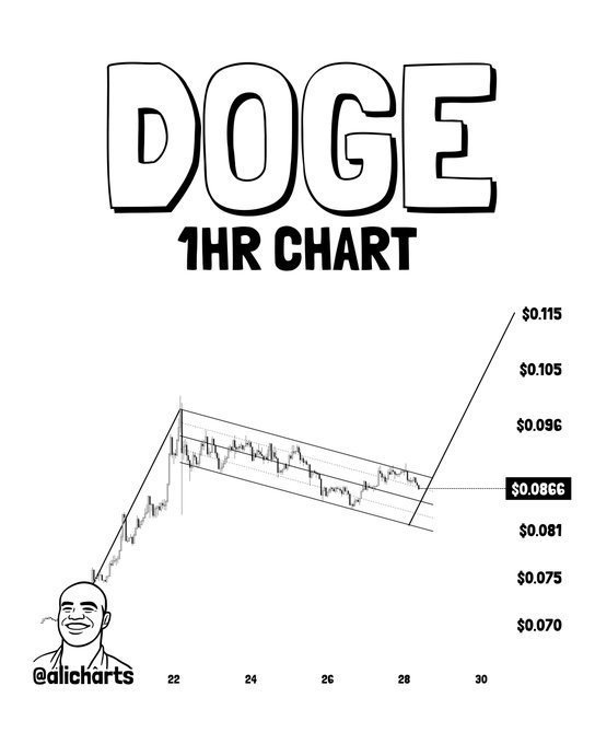 This is a 1-hour chart of Dogecoin (DOGE) showing a bullish flag pattern with support at $0.081 and resistance at $0.090, as depicted by @alicharts. The chart highlights potential price targets of $0.115.