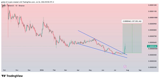 The image is a TradingView daily chart of SHIB/USDT on Binance showing a falling wedge pattern breakout, with price recently rebounding from the lows near 0.0000046 and a projected bullish target of 0.000009462 (a 107.32% potential gain from current price around 0.000005462). The chart visually supports the post's claim: SHIB began rising as anticipated, with the trader already sitting on roughly 35% profit and now expecting a recovery rally toward the updated upside target.