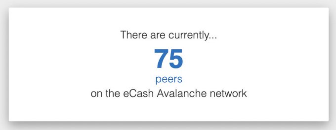 A white box displays the text 'There are currently... 75 peers on the eCash Avalanche network'.