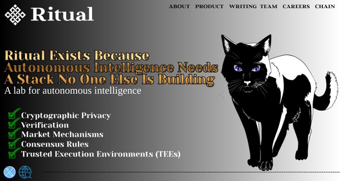 The image shows a black cat with white paws standing against a gray background. The caption below the cat reads "Autonomous Intelligence Needs A Stack No One Else Is Building", which seems to be related to the concept of Autonomous Intelligence or AI, as suggested by the title of the post.