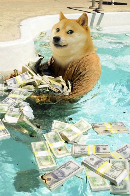A Shiba Inu dog sits in a pool holding stacks of bundled US dollar bills, with more cash floating in the water around it. The image visually reinforces the post's message that $DOGE is money, using the iconic Doge meme to symbolize cryptocurrency wealth alongside traditional currency.