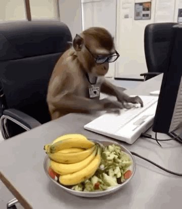 The image features a monkey sitting at a desk with a computer monitor and keyboard. On the desk, there are two bananas and a bowl of salad. The monkey appears to be wearing glasses and is focused on working on the computer. The caption for this image reads "Stake, sporty, YT automation, outlier, nft, Elonzy, gigs."