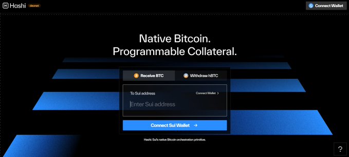 The image shows a screenshot of the developer's website for native Bitcoin, which is located on a dark background. The text indicates that the wallet has been connected to Sui Network recently and highlights that this is an early retroactive release of Hashi. It also mentions that there are people interested in taking part in the project or exploring the project further by connecting via Sui Network. There is no connection between the Bitcoin wallet in question, native BitCoin, and the other information provided about it on the website.