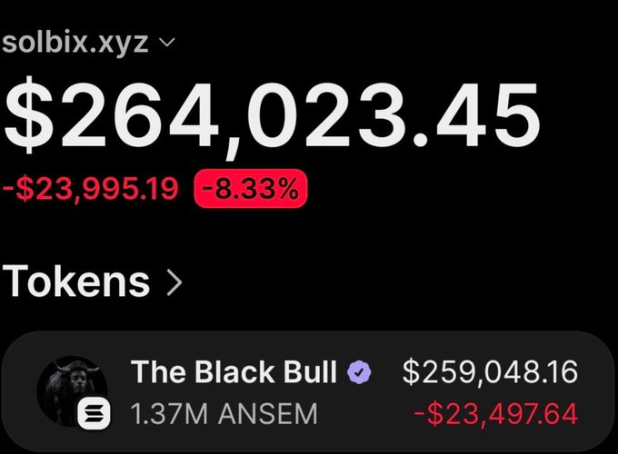 The image displays the wallet portfolio "solbix.xyz" showing a total balance of $264,023.45, down $23,995.19 (-8.33%), with the major holding being "The Black Bull" (ANSEM) valued at $259,048.16 after a $23,497.64 loss. This corresponds to the post highlighting gains on $Ansem, illustrating the wallet's large ANSEM position that has generated substantial profit from a $4,700 investment despite the recent visible decline.
