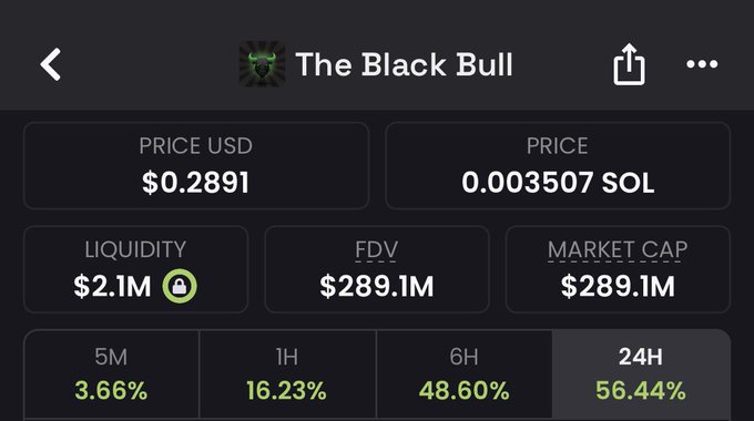 A screenshot of "The Black Bull" token on what appears to be a trading platform shows a price of $0.2891 (0.003507 SOL), with a $289.1M market cap, $2.1M liquidity, and significant gains across timeframes (3.66% over 5M, 16.23% over 1H, 48.60% over 6H, 56.44% over 24H). The image directly illustrates the post's warning about an altcoin's inflated $300M market cap, highlighting the unsustainable price pump that the commenter predicts will inevitably crash.