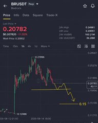 The image shows a TradingView chart of BRUSD.P with the current price at 0.20782, down 0.08168 (28.21%) for the day, highlighting a sharp dump from highs of 0.27896 down to recent lows near 0.15, which visually confirms the post's claim that the $BR pump has been exhausted and selling pressure has taken over.