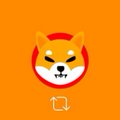 A Shiba Inu dog (the Dogecoin mascot) wearing a pilot/airplane hat appears against an orange background with a small refresh symbol below, symbolizing crypto's flight from the U.S. as Senator Scott warns Elizabeth Warren's team aims to push crypto out of the country amid the ballooning CLARITY Act.