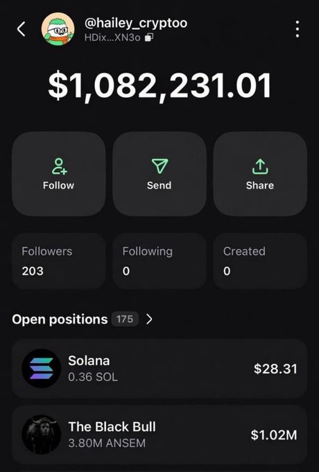 A screenshot of a crypto profile for @hailey_cryptoo shows a portfolio balance of $1,082,231.01 with options to Follow, Send, and Share, displaying 203 Followers, 0 Following, 0 Created, and Open positions including Solana (0.36 SOL at $28.31) and The Black Bull (3.80M ANSEM at $1.02M).