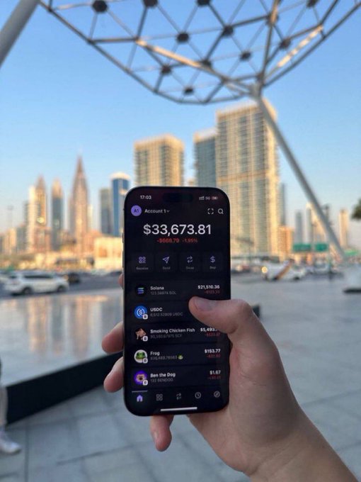 A hand holds a smartphone displaying a crypto portfolio app showing a balance of $33,673.81 with a -1.95% change, featuring tokens like SOL, USDC, and Frog ($163.77), set against a city skyline backdrop—perfectly aligning with a "GM! Drop Your $SOL Addresses" call to action by showcasing a crypto holder's wallet.