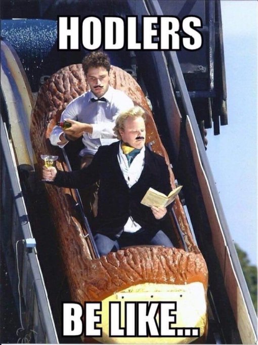Meme image showing two men in formal attire riding down a roller coaster; the text reads 'HODLERS BE LIKE...' at the top and bottom.