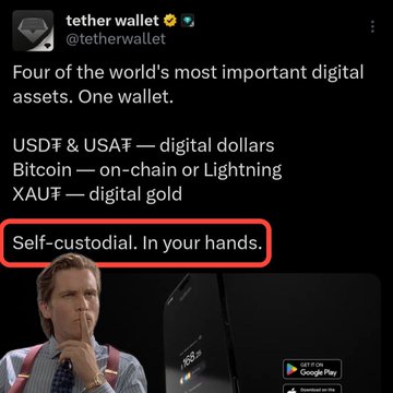 A Tether Wallet promotional tweet highlights "Four of the world's most important digital assets. One wallet," listing USDT, Bitcoin, and XAUT as supported digital dollars, on-chain/Lightning BTC, and digital gold. The post links to the caption "In your hands" by emphasizing the highlighted tagline "Self-custodial. In your hands," underscoring user control over their assets.