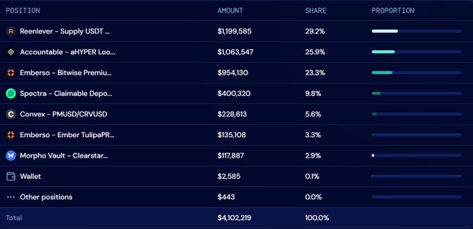 A financial table displays various cryptocurrency positions including 'Reenlever - Supply USDT' ($1,199,585, 29.2%) and 'Accountable - aHYPER Loo...' ($1,063,547, 25.9%), with a total of $4,102,219.