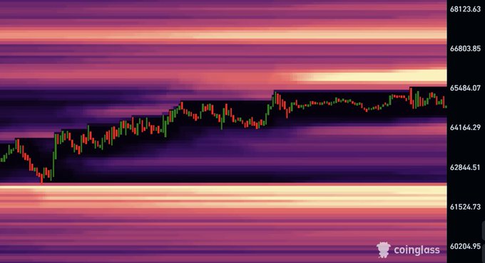 A Coinglass liquidation heatmap showing Bitcoin's price action around the $65,484 level with visible price scale markers on the right side ranging from $60,204.95 to $68,123.63.