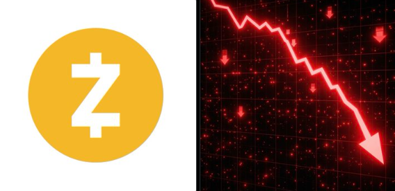 A yellow Zcash (ZEC) logo is shown next to a red downward-trending chart arrow, illustrating the cryptocurrency's 13.7% weekly decline as retail investors panic while the post frames the dip as an accumulation opportunity ahead of a future privacy-narrative rally.