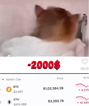 Meme screenshot featuring a distressed cat face with the text '-2000$' and a market cap chart showing BTC at $1,03,384.39 (down 4.21%) and ETH at $3,393.79 (down 10.48%).