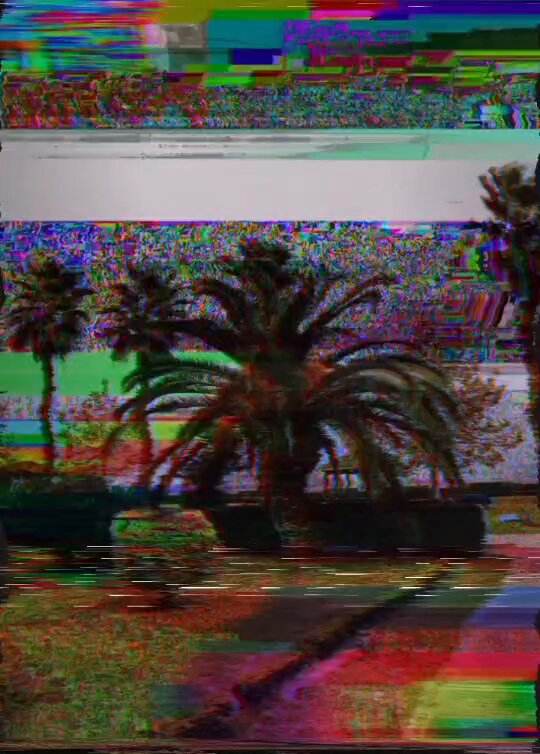 The image features a tropical scene with palm trees, including one large tree in the foreground and smaller ones further back. The background of the photo has a greenish tint, giving it an artistic and dreamy appearance. The caption below the image reads "Morning friends gone to the wind" which adds a sense of movement and energy to the scene.