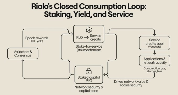 A flowchart titled 'Rialo's Closed Consumption Loop: Staking, Yield, and Service' illustrating the cyclical relationship between validators, RLO tokens, service credits, and applications.