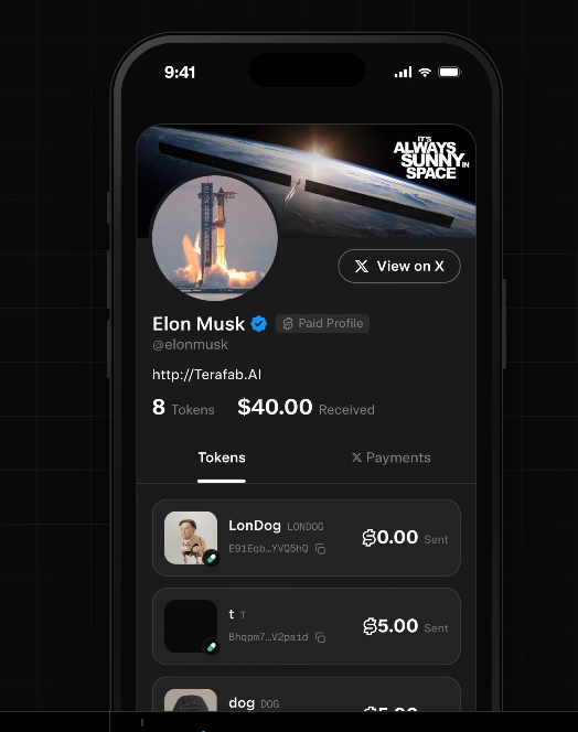 A smartphone mockup displays a profile page for Elon Musk (@elonmusk) with a verified blue checkmark, 'Paid Profile' badge, 8 Tokens, and $40.00 Received, featuring a 'View on X' button over a space-themed banner reading 'ALWAYS SUNNY. SPACE'.