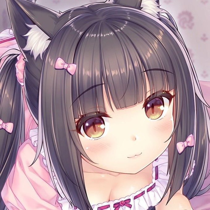 An anime-style illustration features a close-up of a girl with cat ears, long gray hair styled with pink bows, and amber eyes, wearing a pink frilly outfit. The cute, charming aesthetic of the image contrasts with the post's request for serious trading recommendations on X, offering no actual insight into female traders.