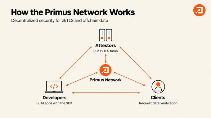 An infographic titled 'How the Primus Network Works' explaining decentralized security for zkTLS and offchain data, showing the connections between Attestors, the Primus Network, Developers, and Clients.