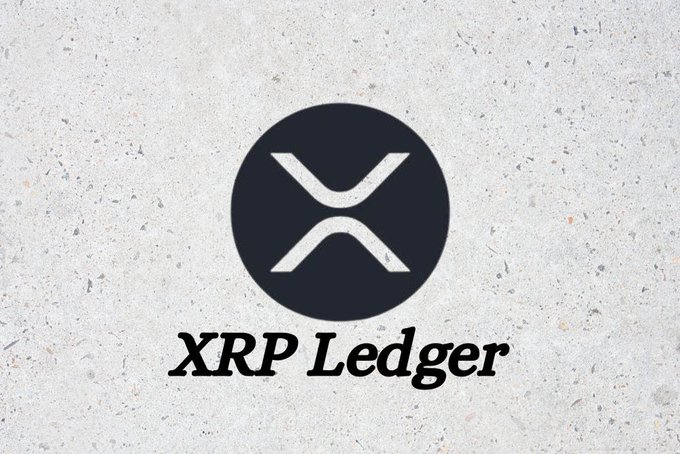 The XRP Ledger logo is displayed on a textured grey background with the text 'XRP Ledger' in black italic lettering.