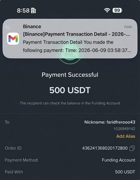 The image shows a transaction happening on a mobile device, where a user has sent money to someone via Paypal. The amount of money being sent was $500. The message accompanying this payment is quite interesting as it includes a message from someone named Nick Names, which seems to be related to the transaction and possibly even a joke or a funny story. As part of the transaction details, there are two separate items showing up: an ordering method (for example, a credit card) and a funding account that has been paid with $500 USDT.