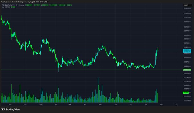 A TradingView chart displays the daily price action of PENGU/USDT on Binance, showing a strong recent rally with a sharp green candle breaking out of a prolonged downtrend from late 2024 through August 2026, accompanied by a notable spike in trading volume. The chart visually supports the post's bullish thesis by illustrating a clear trend reversal and breakout, reinforcing the call to buy dips on $PENGU.