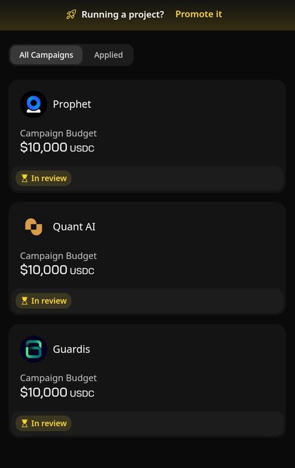 The image shows a screenshot of an app that displays three campaigns for Quackers, a popular social media platform. The campaign names are displayed at the top left corner, while the campaign budgets are shown below them. One of the campaigns has a budget of $10,000 USDC and is titled "Campaign Budget". Another campaign has a budget of $1,000 USDC and is labeled "Campaign Bud". Lastly, there's a campaign with no budget displayed at all. The app also provides a review rating for each campaign, which is currently set to 4 stars out of 5.