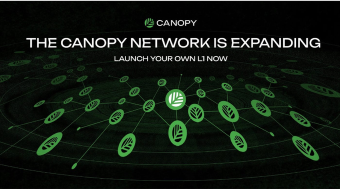 A promotional graphic displays the Canopy logo with the text 'THE CANOPY NETWORK IS EXPANDING' and 'LAUNCH YOUR OWN L1 NOW' over a dark background with a network of green leaf-like nodes.