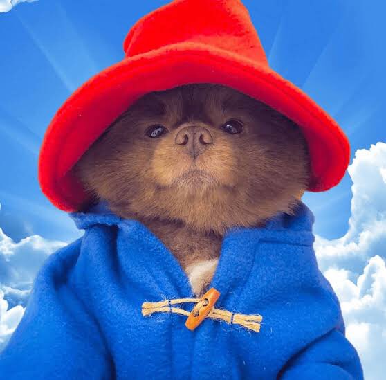 Digital artwork of Paddington Bear wearing his signature red hat and blue duffle coat, set against a backdrop of a blue sky with white clouds.