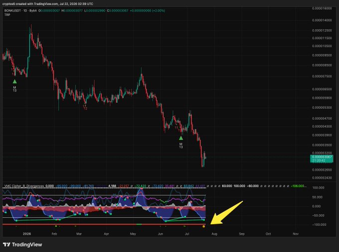 A TradingView chart for BONKUSDT shows a daily candle at 0.000003907 with the "VMC Global 2 Divergence" indicator below displaying a yellow arrow pointing to a rare "Golden Ball" bottoming signal on July 22, 2025, mirroring the same signal that preceded BONK's massive ~9,900% rally in Q4 2023.
