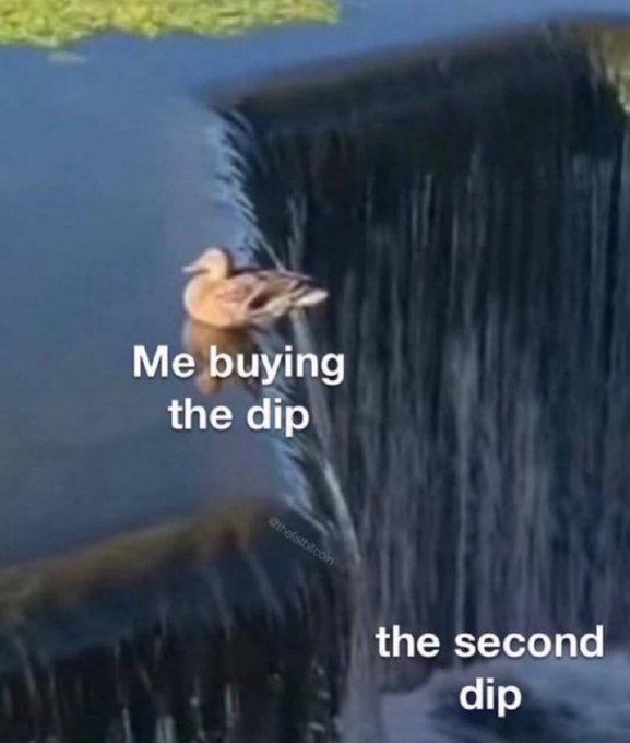 A duck calmly floats near the edge of a waterfall with text reading "Me buying the dip," while "the second dip" appears near the cascading water below—humorously illustrating how an investor who buys a stock dip can get pulled into an even deeper drop.