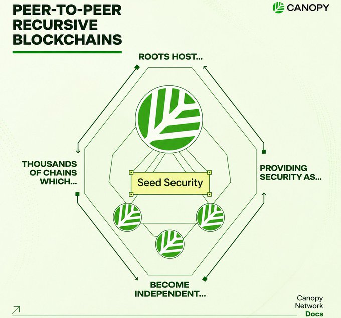 An infographic from Canopy Network titled 'PEER-TO-PEER RECURSIVE BLOCKCHAINS' showing a hexagonal diagram with a leaf logo, illustrating how a Roots Host provides Seed Security to thousands of chains that become independent, from Canopy Network Docs.