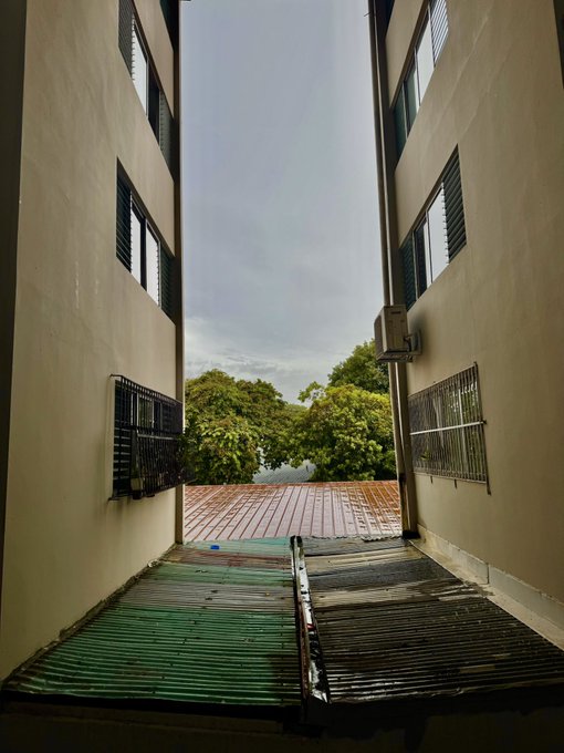 A view looking down between two beige buildings with barred windows, onto a wet, corrugated rooftop overlooking green trees under a cloudy sky.