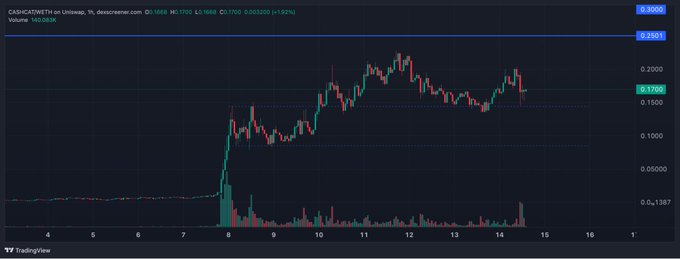 A TradingView candlestick chart shows $CASHCAT on Uniswap (1h) consolidating between roughly $0.1367–$0.2000 after a sharp rally from sub-$0.04 around October 8, with the current price near $0.1706 (+1.57%) — illustrating the post author's long position averaging in at $0.18 in anticipation of a bounce from this support zone.