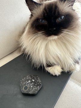 A fluffy long-haired seal point cat (likely a Himalayan or ragdoll) sitting on a dark surface next to a small hexagonal decorative item with a celestial pattern.
