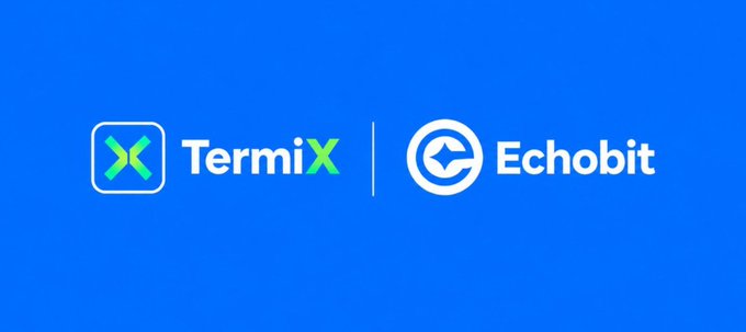 A blue banner displaying the logos for 'TermiX' featuring a green X icon, and 'Echobit' featuring a white circular icon with a play symbol.