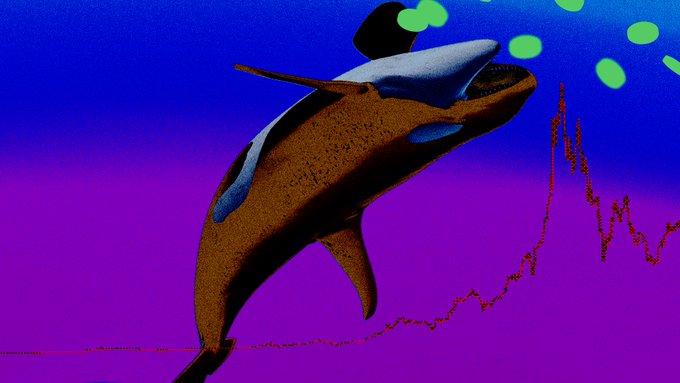 A low-poly orca leaps through a purple and blue sky above a jagged stock chart line, with green orbs floating overhead.