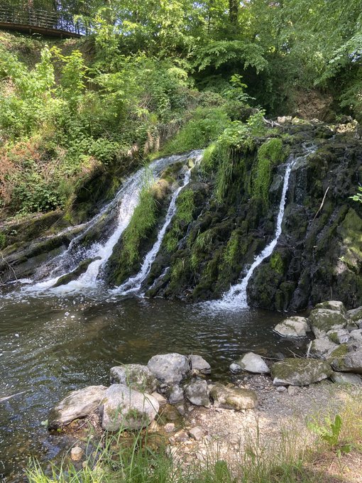 A scenic waterfall cascades over moss-covered rocks into a small pool surrounded by lush green forest, with part of a bridge visible at the top.